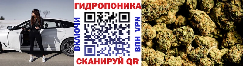 Бошки Шишки AK-47  Раменское 
